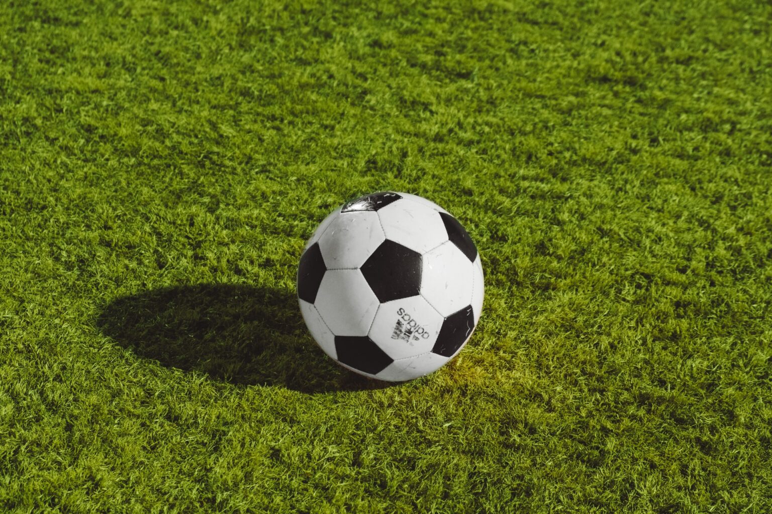 芝生の上にサッカーボール