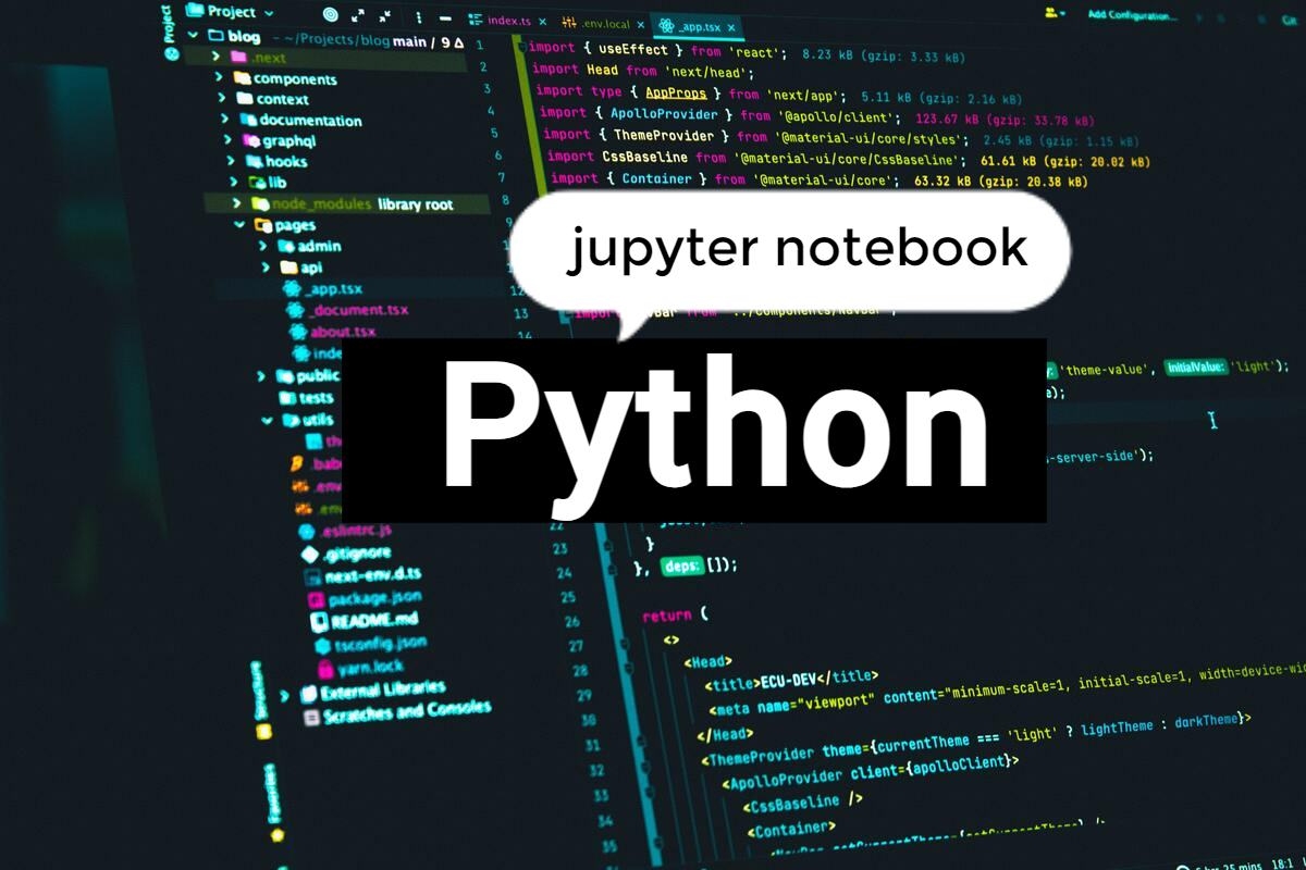 python jupyter notebook